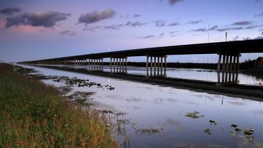 En esta imagen, tomada el 22 de octubre de 2019, se muestra una parte elevada del Camino de Tamiami, al oeste de Miami, Florida.&nbsp;