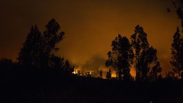 Más de 19 incendios se han registraron en diversas regiones de&nbsp;Chile.