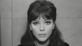 Su carrera cinematogr&aacute;fica comenz&oacute; de la mano del que pronto ser&iacute;a su marido, Jean-Luc Godard y apenas en sus inicios logr&oacute; hacerse en 1961con el premio a la mejor actriz en el festival de cine de Berl&iacute;n por su interpretaci&oacute;n en Una mujer es una mujer.