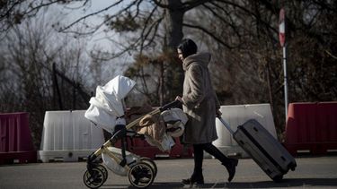 Organizan respuesta a eventual oleada de desplazados de Ucrania