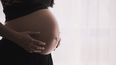 Una mujer en estado de gestación
