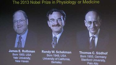 Premio Nobel de medicina a dos estadounidenses y un alemán. (AP)