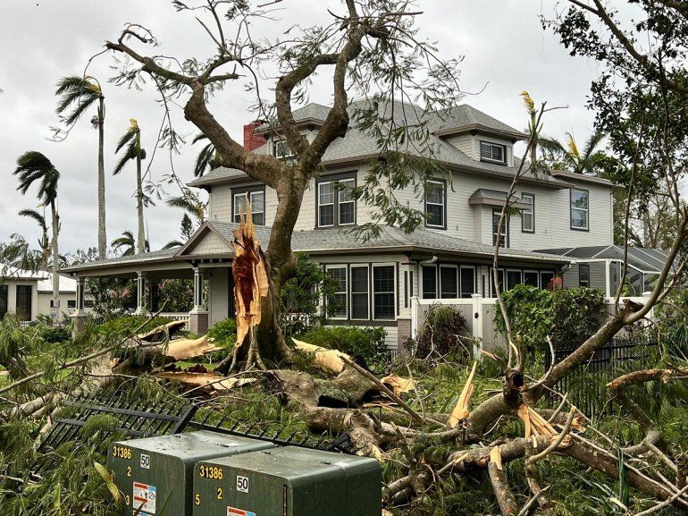 Un enorme árbol cayó en la cerca de una vivienda en Fort Myers por el paso del huracán Ian. 