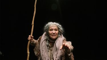 La actriz Adriana Barraza en la puesta en escena de Madre.&nbsp;