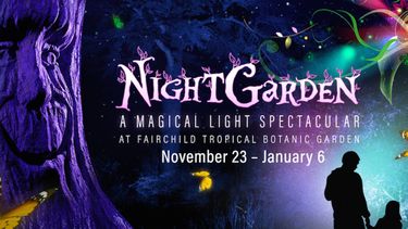 Una noche en el jardín.