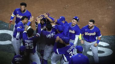 Diario las Américas | Beisbol Venezuela