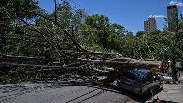 Vista de árboles caídos sobre un automóvil en una calle tras fuertes vientos, en Sao Paulo, Brasil, el 11 de diciembre de 2025.