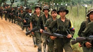 A través de un estudio realizado por Cifras & Conceptos el 54 % de los consultados dijo que sería partidario de cero años de cárcel para los guerrilleros rasos