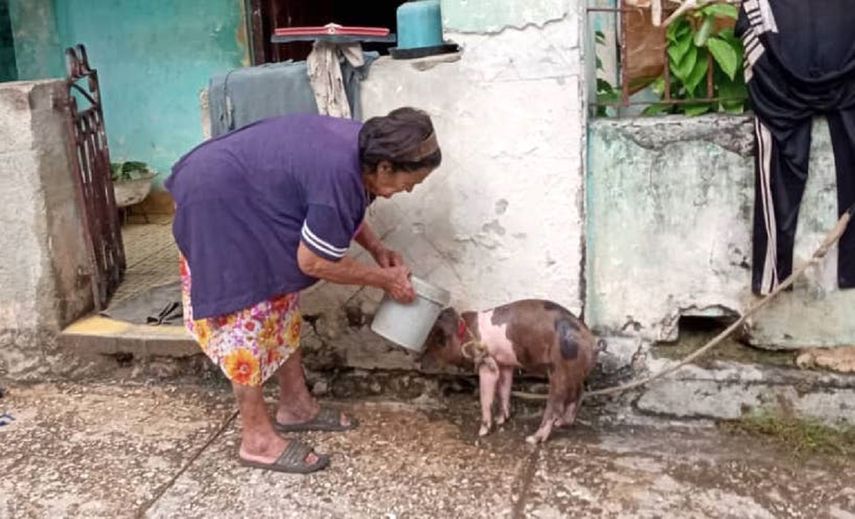 Cuba sin carne ni fiestas este fin de año