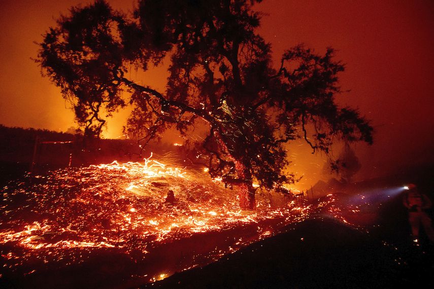 Las brasas vuelan desde un &aacute;rbol durante un incendio forestal avivado por los fuertes vientos cerca de Geyserville, California, el jueves 24 de octubre de 2019.&nbsp;