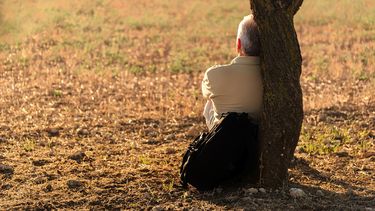 Un estudio determinó que alrededor de 50% de los estadounidenses se sienten solos.