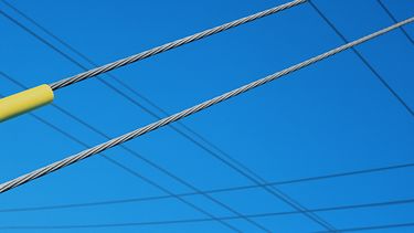 La muestra se compone de dos instalaciones y dos conjuntos o series de fotografías que usan la línea como principal recurso constructivo. (CORTESÍA)