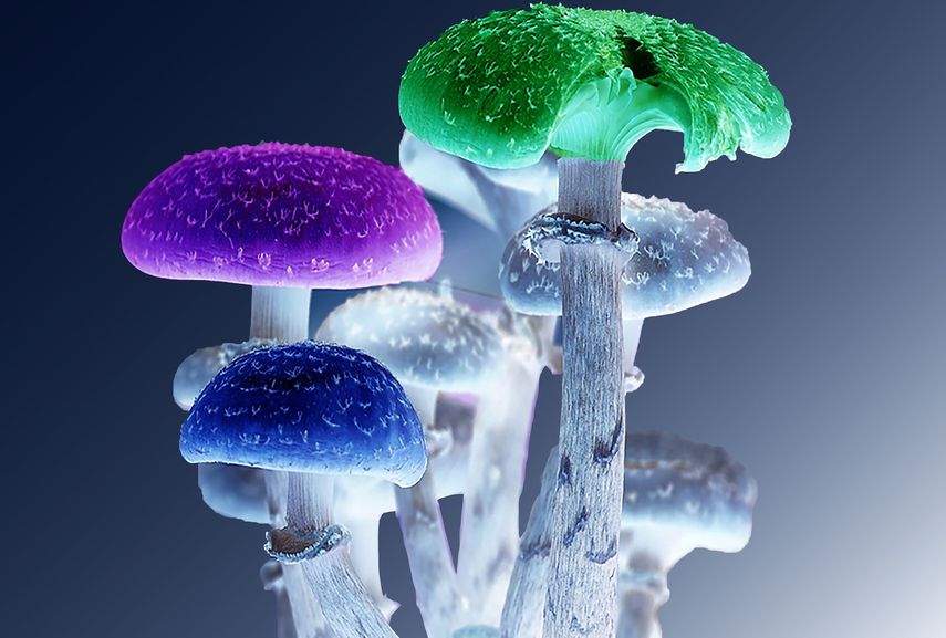 Foto referencial.&nbsp;