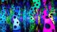 Yayoi Kusama, LOVE IS CALLING, 2013. Institute of Contemporary Art, Boston.&nbsp;