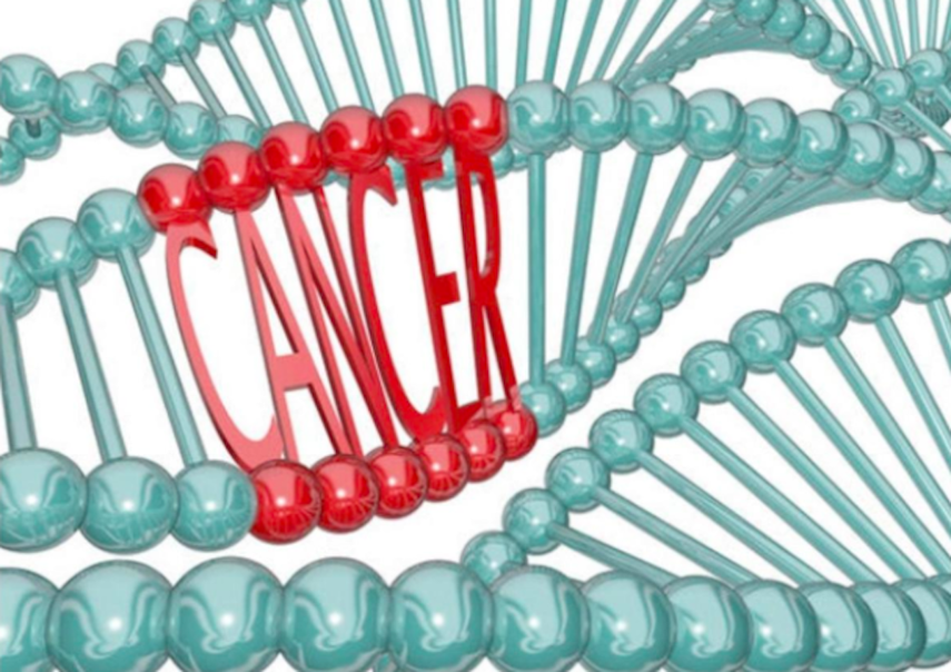 El consumo de frutas y verduras puede ayudar a la prevención del cáncer.