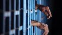 La ONG Foro Penal contabiliza 351 presos políticos del régimen de Nicolás Maduro, en Venezuela. La ONG Foro Penal contabiliza 351 presos políticos del régimen de Nicolás Maduro, en Venezuela.