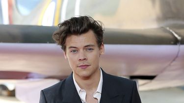 El cantante y actor británico Harry Styles.