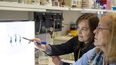 El equipo de investigadores del ISCIII han identificado qué cambios en el genoma (metilación de A ó en C en la secuencia GATC) inhiben la actividad de la girasa, una enzima esencial de S. pneumoniae, sobre la que actúan las fluoroquinolonas. &nbsp; &nbsp;