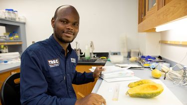 Dr. Geoffrey Meru Profesor asociado, mejoramiento, genética y genómica de hortalizas, Departamento de Ciencias Hortícolas, Centro de Investigación y Educación Tropical UF/IFAS