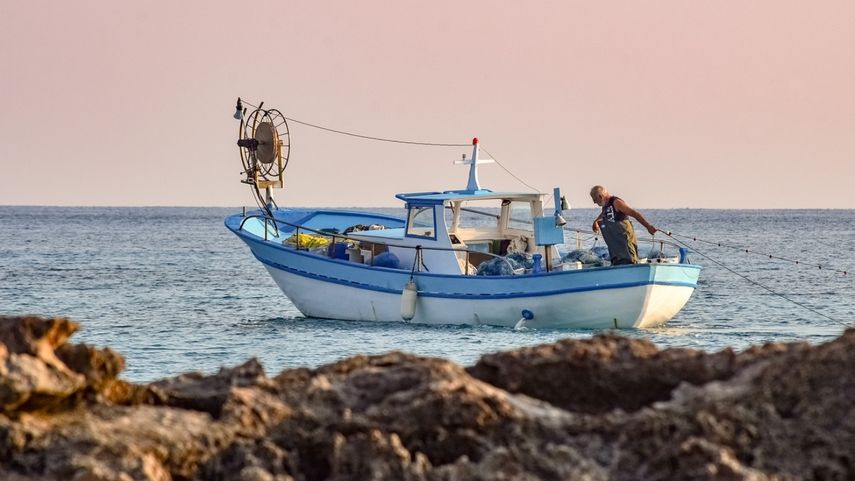 Los siete productores principales de pesca de captura son China, Indonesia, el Perú, la India, la Federación de Rusia, los Estados Unidos y Vietnam.