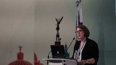 Marjorie Miller, de la Agencia Associated Press(AP), durante el panel Las agencias internacionales de noticias en su papel de nuevos corresponsales&nbsp;