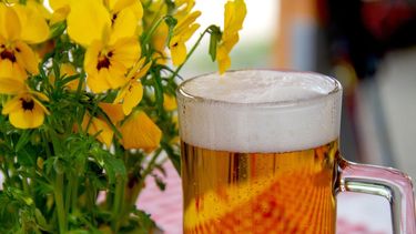 Una cerveza en casa