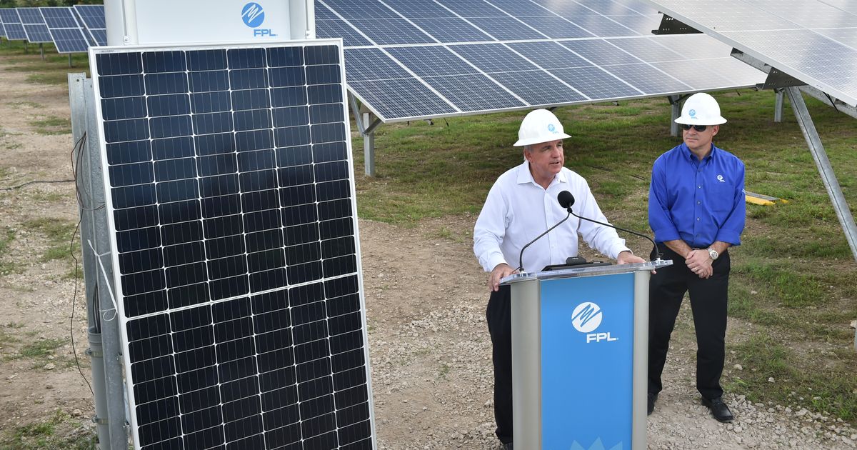Energía solar lidera en 2024, con Florida entre los estados de mayor crecimiento