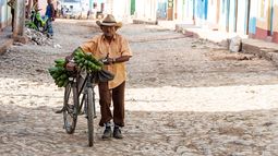La insuficiencia económica y la mala administración pone a la isla en el abismo de la devastación alimentaria.