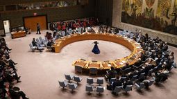 El Consejo de Seguridad de Naciones Unidas.
