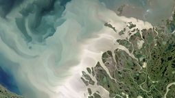El sedimento del río Mackenzie de Canadá desemboca en el mar de Beaufort en remolinos lechosos en esta imagen satelital de 2017.&nbsp;