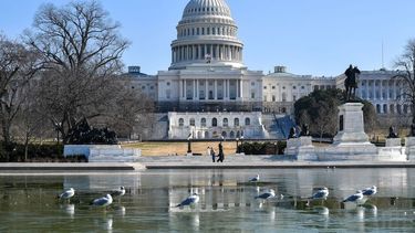 Congreso de EEUU preocupado por la minería ilegal.&nbsp;