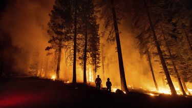 Miembros del Departamento Forestal y de Protección contra Incendios de California supervisan un operativo contra incendios, mientras las llamas arrasan con el Bosque Nacional de Lassen, el lunes 26 de julio de 2021.&nbsp;