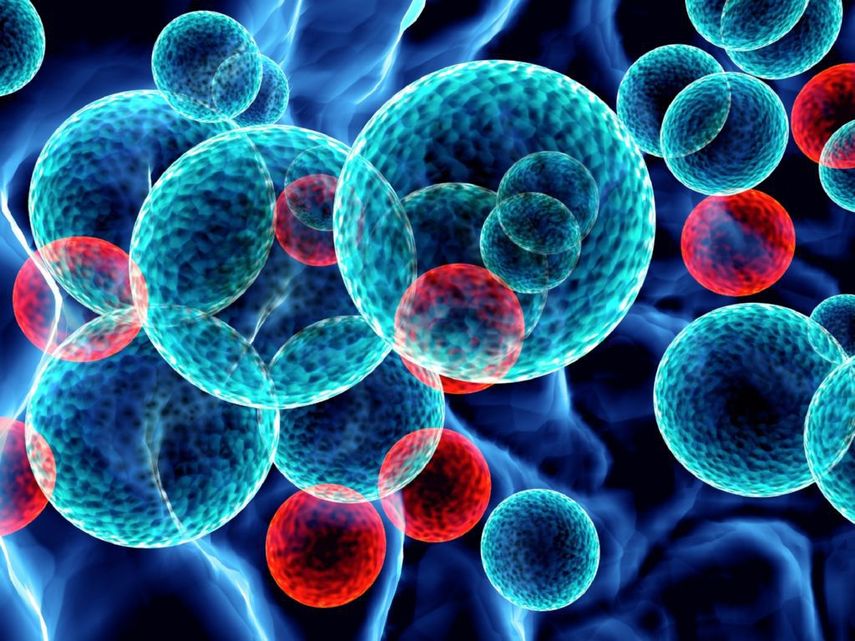 Un medicamento ya aprobado para tratar una enfermedad conocida como sobrecarga de hierro puede proteger importantes áreas de la médula ósea.