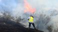 Chile enfrenta los peores incendios forestales de su historia reciente.
