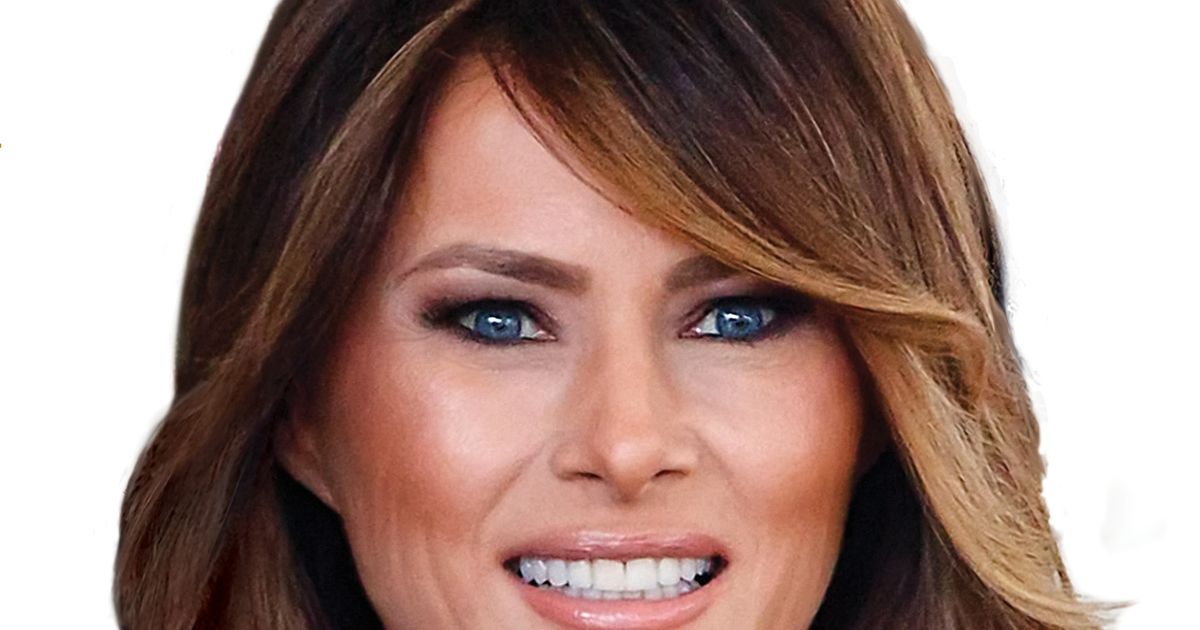 Melania Trump Es Retratada En Una Biografía No Autorizada