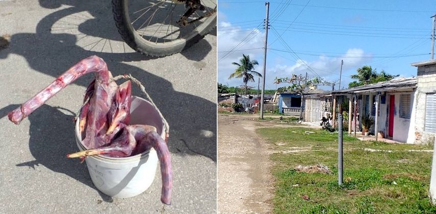 Los alcatraces que venden los niños y el barrio pobre en el que viven.&nbsp;