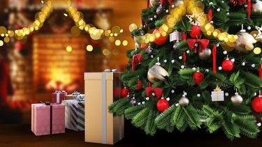 Se acercan las fiestas navide&ntilde;as y hay muchas actividades para compartir en familia.&nbsp;