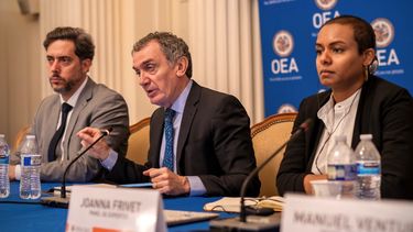 Panel de Expertos de la OEA.
