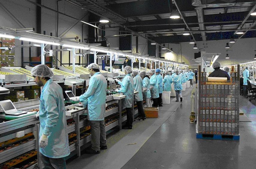 La actividad industrial cayó en junio 8,2%. (CORTESÍA. panamericanworld.com)