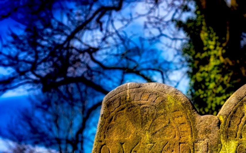 Imagen referencial.&nbsp;