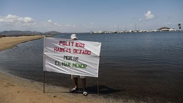 Un hombre sostiene una pancarta que dice Políticos, habéis dejado morir el Mar Menor en Puerto Bello de la Manga, cerca de Murcia, el 25 de agosto de 2021. Miles de peces muertos han aparecido en las orillas del Mar Menor, una gran laguna de agua salada en sureste de España. Los ambientalistas atribuyeron la alta mortalidad de los peces a la falta de oxígeno en el agua. &nbsp;