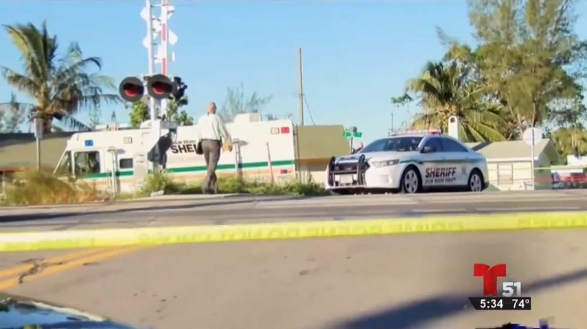 En el condado Palm Beach, las autoridades se han tenido que enfrentar a estos miembros del crimen organizado.