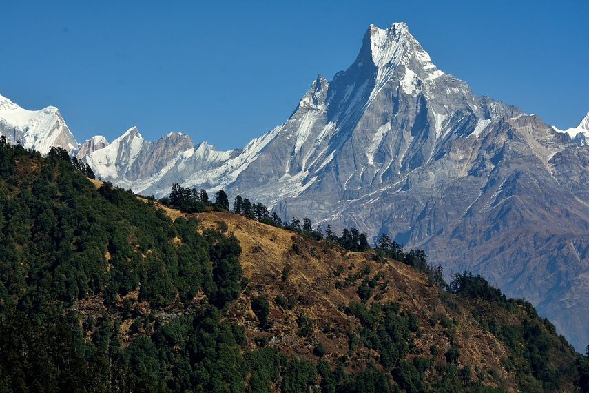 El shilajit o lágrima de montaña se recoge principalmente en las cordilleras del Himalaya.