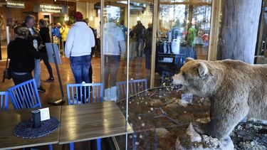 Varios visitantes se reúnen en la entrada del Parque Natural de Orsa (Orsa Rovdjurspark), en el que un&nbsp;oso&nbsp;pardo mató a un domador de animales.