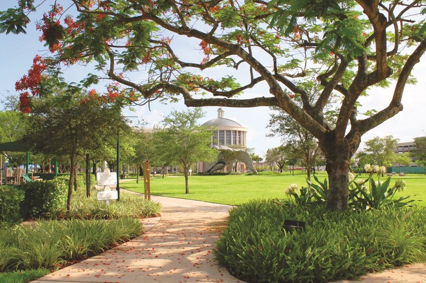 Downtown Doral Park&nbsp;es otro espacio en el que el deleite y disfrute pueden ser el objetivo de quienes lo visiten. Este parque se ubica en un &aacute;rea adyacente al Centro de Gobierno de la Ciudad de Doral.