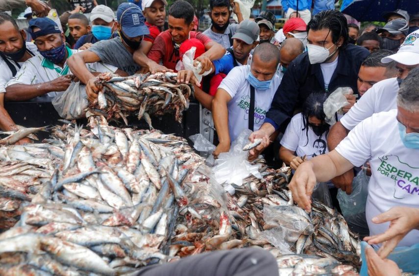 Residentes de un barrio popular de Caracas toman pescado durante un mitin de campaña organizado por Javier Bertucci y Juan Eleazar, ambos candidatos a las elecciones parlamentarias, convocadas por el régimen.