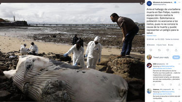 Funcionarios del Ministerio de Ambiente en conjunto con el Servicio de Protección Institucional acordonaron el área para evitar que las personas se acercaran.