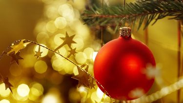 Diario las Américas | navidad.jpg