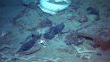 Foto tomada en el 2004 de reliquias del Titanic, barco que se hundió en el océano Atlántico en 1912. Foto tomada en el 2004 de reliquias del Titanic, barco que se hundió en el océano Atlántico en 1912.
