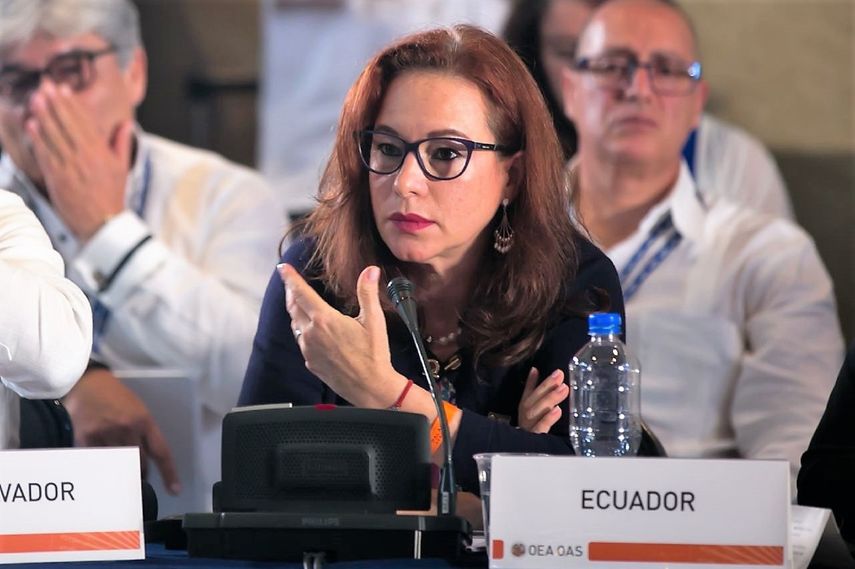 Yo creo que todos los países tienen esos problemas y la cumbre va a permitir que nos juntemos para buscar soluciones comunes, señaló la canciller de Ecuador